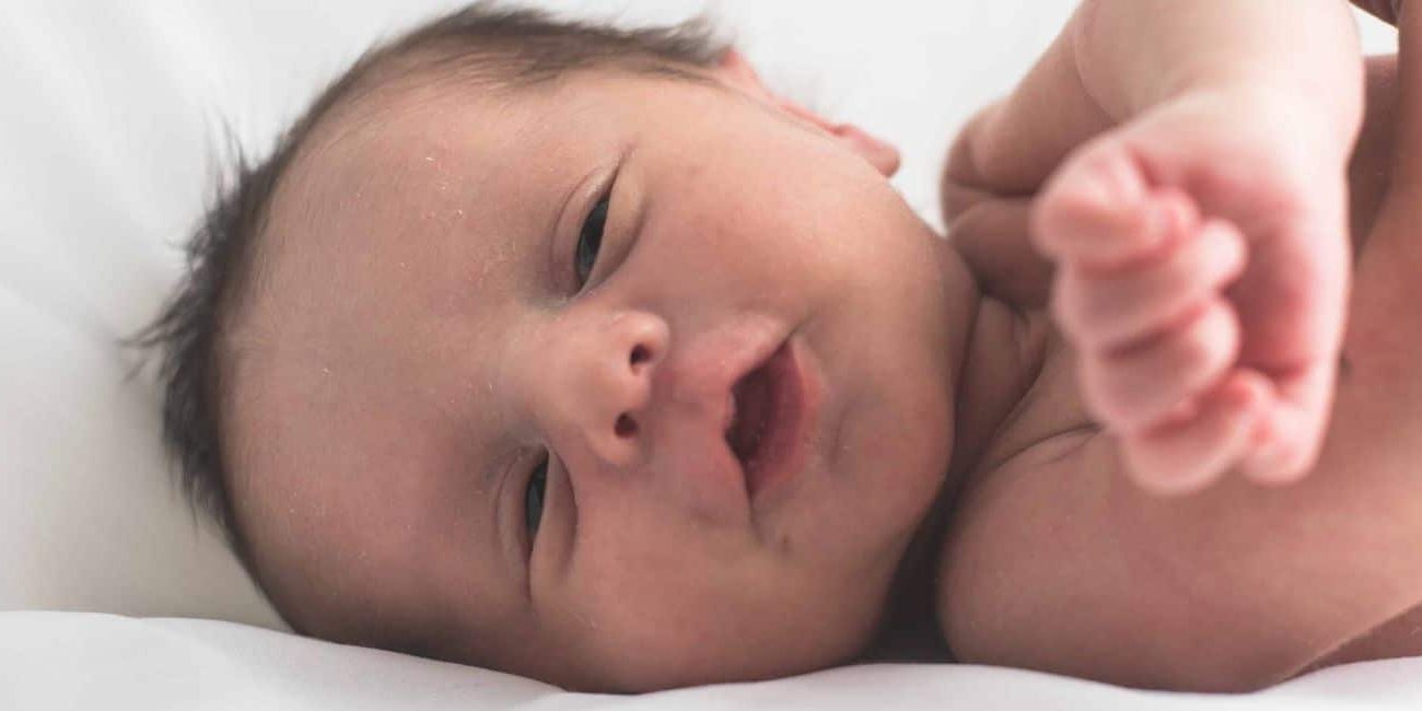 the fourth trimester