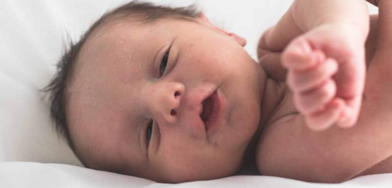 the fourth trimester